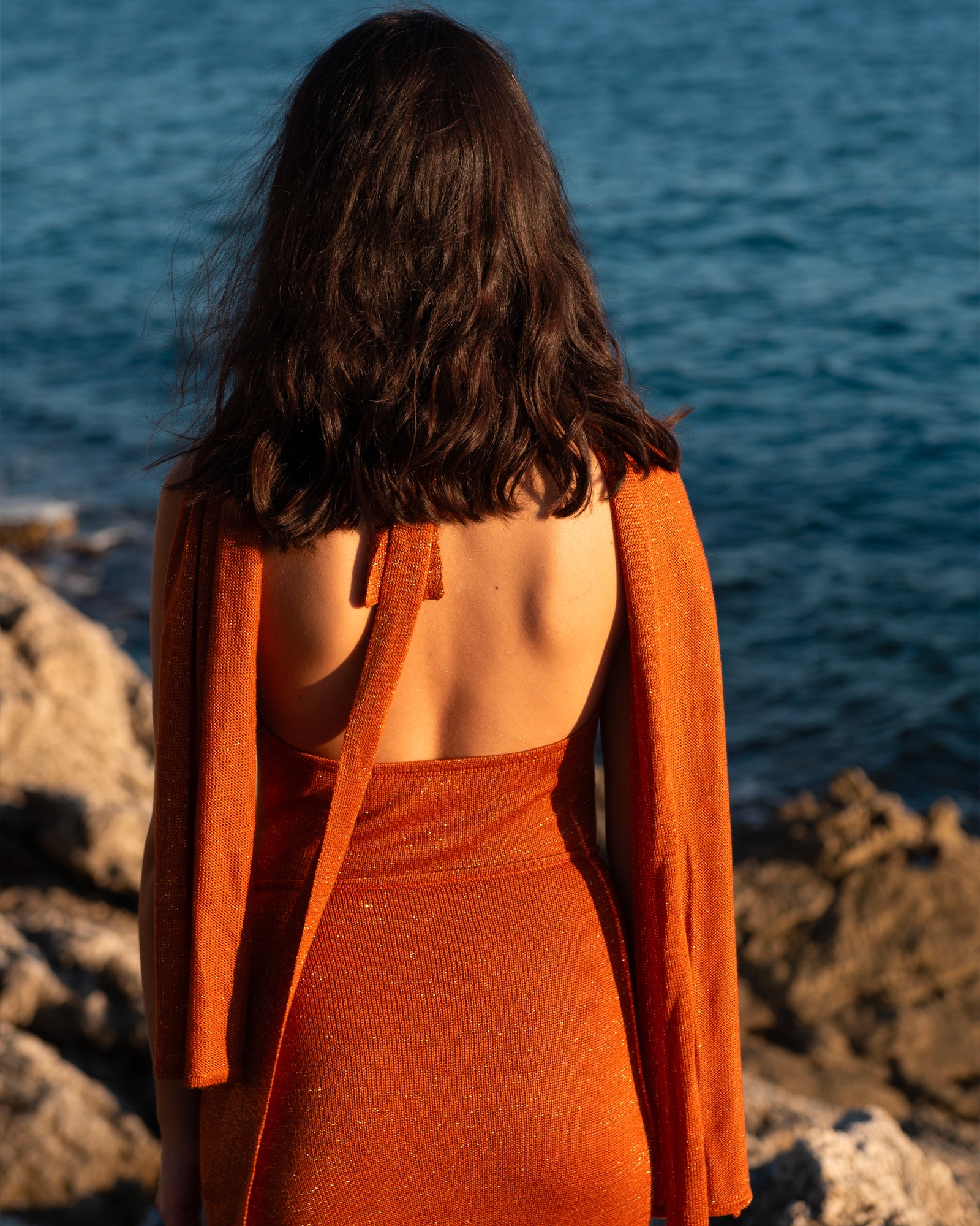 LA SIRENA